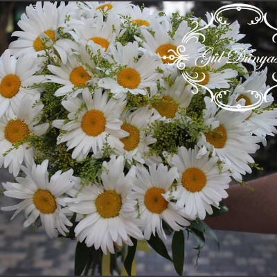 Papatya bouquet