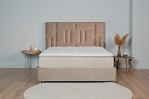 "Catarina Premier" çarpayı